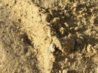 Песок крупно-зернистый 0-8 мм